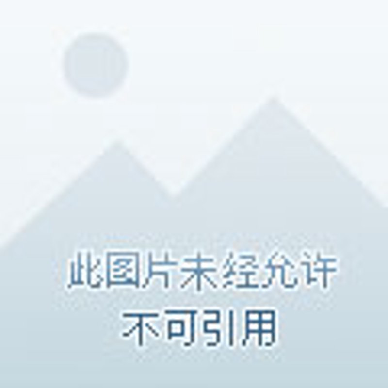 网店装修新趋势:打造线上购物新体验